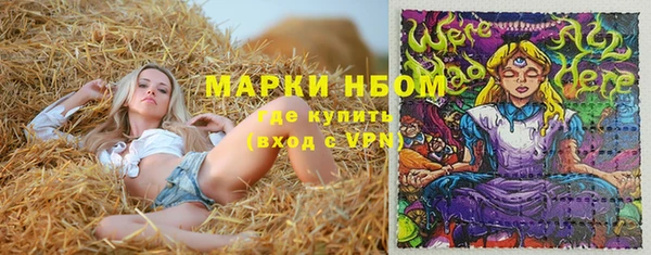 PSILOCYBIN Медногорск
