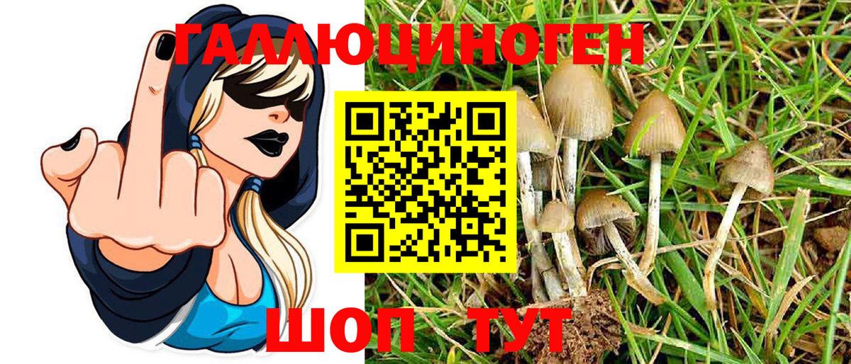 Псилоцибиновые грибы MAGIC MUSHROOMS  Псилоцибиновые грибы MAGIC MUSHROOMS  Каменск-Шахтинский  Вход с VPN 