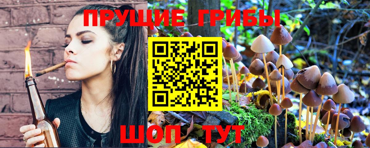 Галлюциногенные грибы MAGIC MUSHROOMS Каменск-Шахтинский