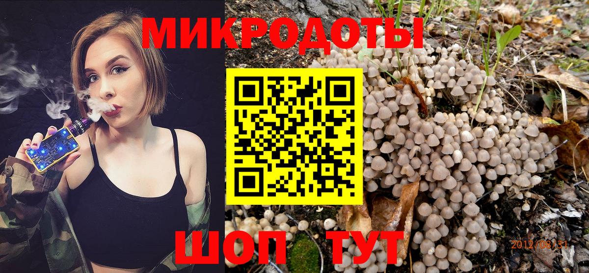 Галлюциногенные грибы ЛСД Каменск-Шахтинский