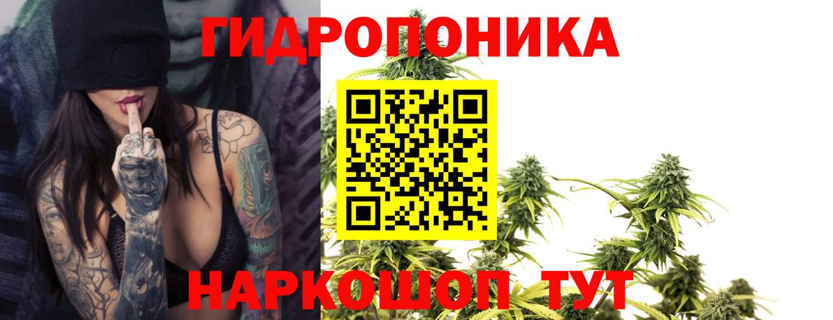 Каменск-Шахтинский  Марихуана ГИДРОПОН  Бошки Шишки план  Вход с VPN 